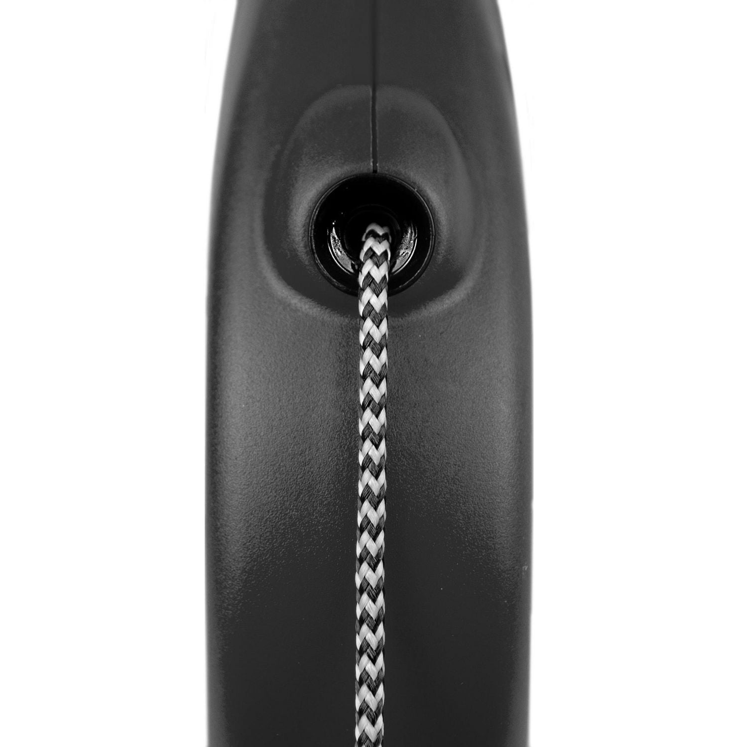 Flexi Petit Canada Feuille d'Érable 5m Cordon Rétractable Laisse pour Chien