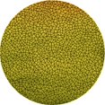 thumbnail image 1 of Ahgly Company Tapis Rond Lavable en Machine Intérieur Transitionnel Brun Bronze Foncé, 7 Pieds Rond, 1 of 7