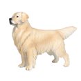 thumbnail image 1 of Modèle de Chien Animal Simulation Jouet pour Enfants Cadeau pour Enfants Golden Retriever, 1 of 8