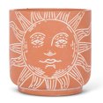 thumbnail image 1 of Set of 12 Large Sun Face Planter, 1 of 1