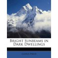 thumbnail image 1 of Bright Sunbeams in Dark Dwellings, 1 of 1