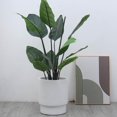 thumbnail image 4 of Monroe Large Planter, 17.9", 4 of 5