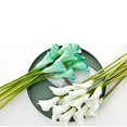 thumbnail image 3 of Artificial SNAIL GARDEN Latex Calla Lily Bundle with Green Leaves, 3 of 12