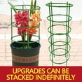 thumbnail image 2 of D Plant Support Cage For Climbing Vines And Tomatoes Stackable And Adjustable Stakes With Stabilizing Ring For Garden Flower And Vegetable Growth Assistance, 2 of 5