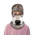 thumbnail image 5 of Riforla 2025 New Children's Ski Face Guard Riding Face Guard Cartoon 3D Cat Ski Face Face Guard with Ears Music Festivals Raves Ski Party Keep Warm Windproof Outdoor Activities Face mask Pink, 5 of 5