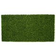 thumbnail image 1 of Tapis en Bois Boxwood 103 Po, Vert, 1 of 1