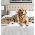 thumbnail image 3 of Beddora Luxury Flannel Sherpa Throw Blanket – 50” x 60” – Ultra-Soft & Warm – 450 GSM Plush Reversible Fleece – Cozy Winter Couch or Bed Blanket – Light Grey, 3 of 7