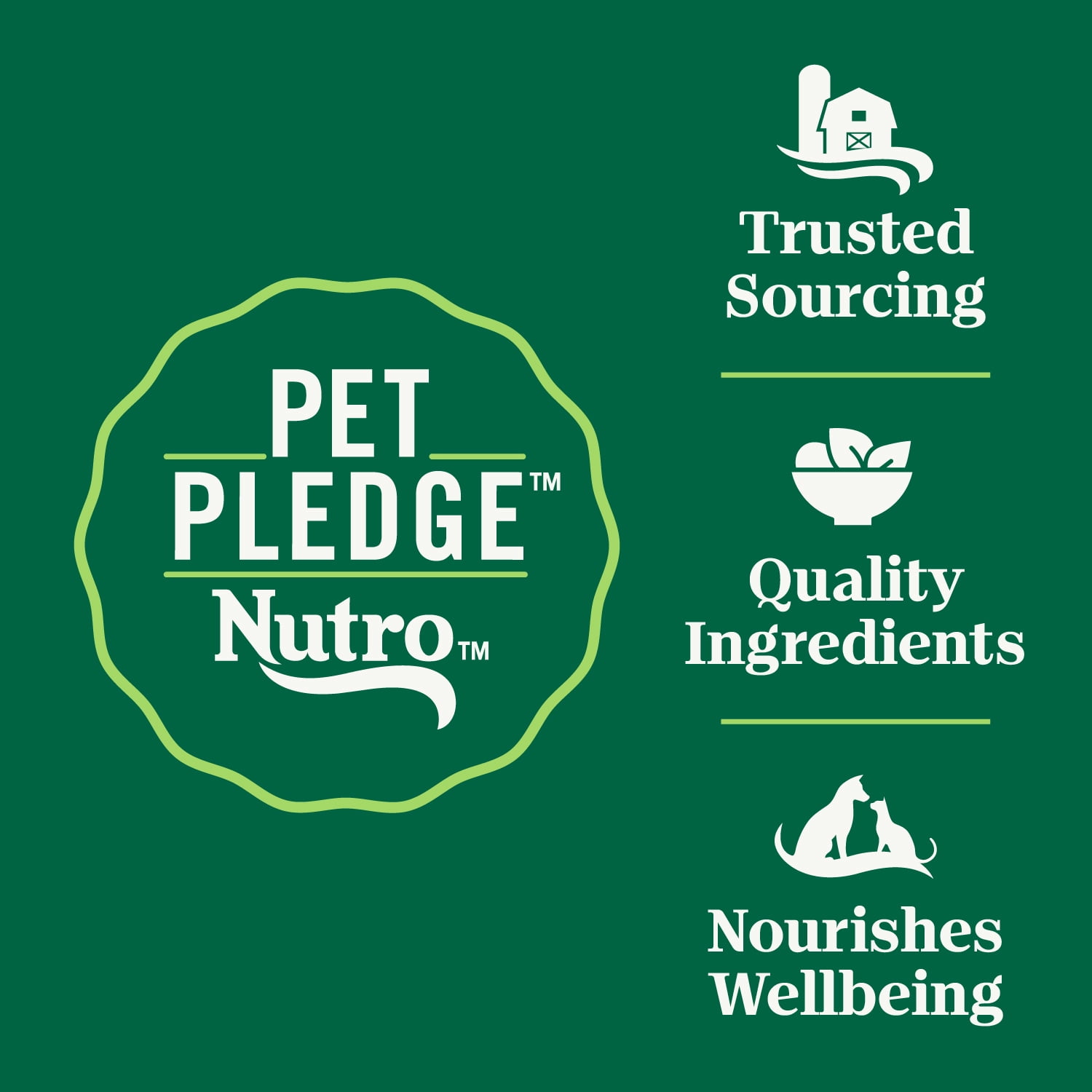 NUTRO WHOLESOME ESSENTIALS Adult Dry Cat Food Salmon & Brown Rice Recipe, 2.27kg Bag