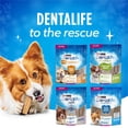 thumbnail image 2 of DentaLife Gâteries pour Chiens pour les Soins Buccodentaires Quotidiens pour Races Petites et Moyennes, 2 of 9