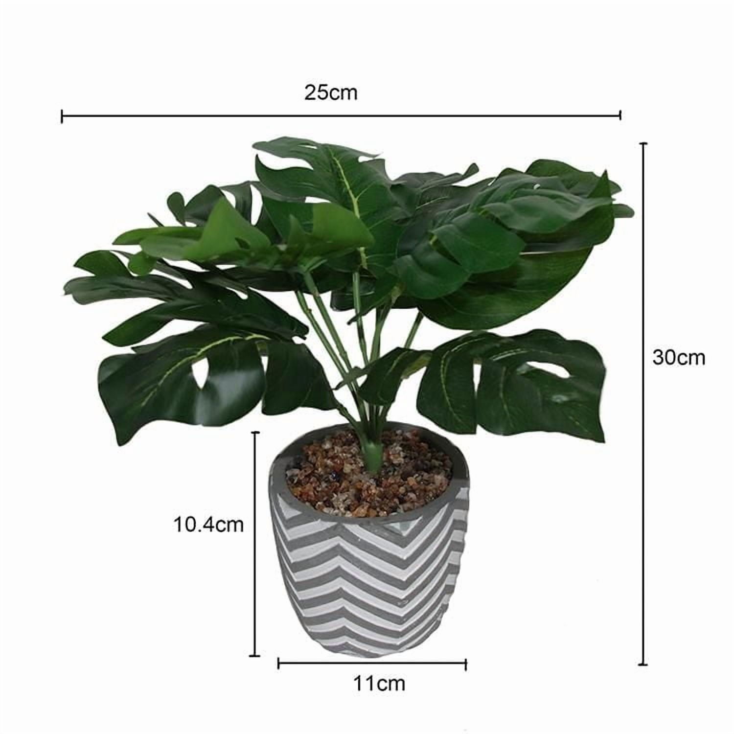 Plante en pot de Lerman Decor