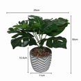 thumbnail image 2 of Lerman Decor's potted plant, 2 of 4