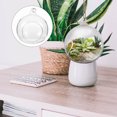 thumbnail image 3 of Terrarium en Verre Transparent pour Décoration Intérieure avec Affichage Clair et Design Robuste 2 Pcs, 3 of 8