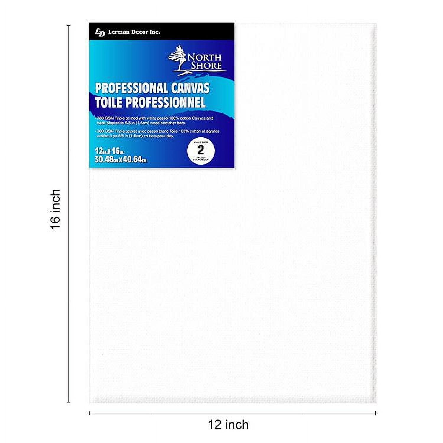 Toile professionnelle North Shore 12" x 16"
