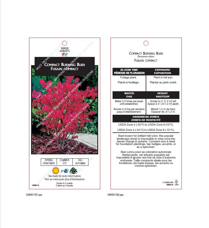 Ensemble de arbuste 6 contenants de 1 gallon jardin dautomne