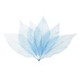 thumbnail image 2 of Abbracc 50Pcs Natural Magnolia Skeleton Leaf Leaves Cards Making Scrapbooking Crafts, 2 of 9