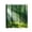 K, variant on RXIRUCGD Trees Forest Sunlight Shower Curtain Straight Tall Trees Sunshine Attractive Nature Landscape Waterproof Fabric Bathroom Decor