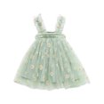 thumbnail image 1 of Birdeem Robe d'Été Adorable pour Bébé Filles Robe Douce Sans Manches à Bretelles Imprimé Fleurs Dentelle Robe d'Été, 1 of 1
