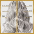 thumbnail image 3 of L'Oréal Paris Le Color Gloss, Gloss pour Cheveux en 1 Étape, 3 of 8