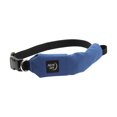 thumbnail image 2 of Collier + Laisse tout-en-un RadDogMC - Taille moyenne - Bleu, 2 of 6