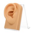 thumbnail image 1 of FRCOLOR silicone ear Silicone Acrylic Jewelry Supplies for Training Assorted Color High Durability and Practicality 1 Set,3.15"X2.76"X1.97", 1 of 4
