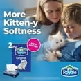 thumbnail image 3 of Royale Original Facial Tissue, 6 Flat Boxes, 126 Tissues per box, 2-Ply, 756 Tissues, 3 of 4