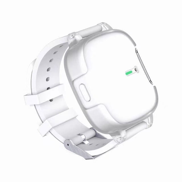 Feltree Wearable Green Air Purifier with Personal Clean Zone - Rechargeable Portable Filter for Pets, Travel & Indoor Spaces