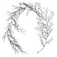 thumbnail image 2 of YIMWNYI 2Pcs Halloween Artificial Tree Branches – Black Withered Rattan Simulation Plant for Indoor and Outdoor Halloween Décor, Durable Fake Branches for Party, Porch, and Event Decoration, 2 of 9