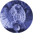 thumbnail image 1 of Ahgly Company Tapis d'Intérieur Lavables en Machine Bleu Ciel Transitionnel, 3' Carré, 1 of 7