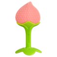 thumbnail image 1 of WHEANG Cleaning Supplies Fruit-Shaped Chewing for Baby Two-Color Stereoscopic Teeth Grinding Stick with Box One Size Multi-Color, 1 of 2