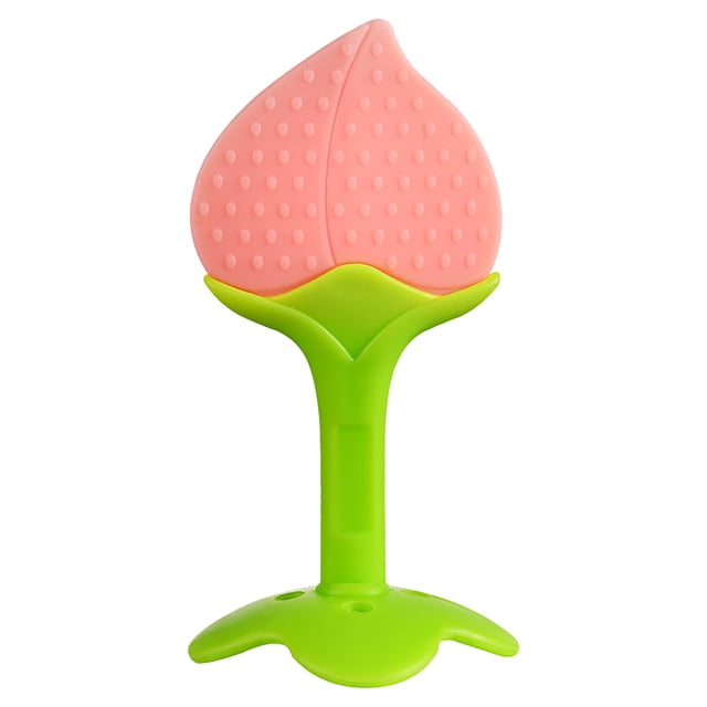 WHEANG Cleaning Supplies Fruit-Shaped Chewing for Baby Two-Color Stereoscopic Teeth Grinding Stick with Box One Size Multi-Color