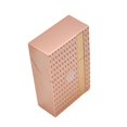 thumbnail image 5 of Birdeem Ultra Thin Vertical Striped Plastic Case Portable Case Case Pocket Storage Box, 5 of 5