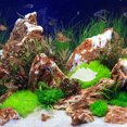 thumbnail image 4 of 1Set Easy Installation Shrimp Bowl Aquarium for Feeding Reptiles 8.6x6.8in, 4 of 8