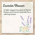 thumbnail image 4 of Eco-Me Natural Concentrated Liquid Laundry Detergent, Lavender Blossom, 32 Ounce, 4 of 5