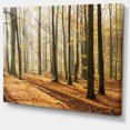thumbnail image 2 of Bright Autumn Day in Thick Forest - Modern Forest Canvas Art, 2 of 4