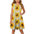 thumbnail image 1 of RXIRUCGD 2025 Vêtements d'Été pour Enfants Robe d'Été à Manches à Volants pour Filles 4-14T, 1 of 7