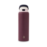 TAL Stainless Steel 2-in-1 Straw and Chug Water Bottle with Push Lid 32 fl oz, Berry
