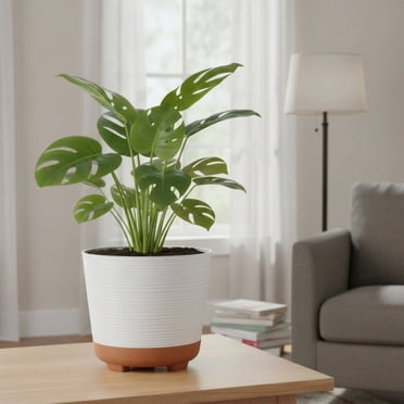 Jardinière en Résine Hometrends Wallula 10 pouces, Blanc et Terre Cuite