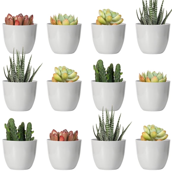 Youngever Lot de 24 Petits Pots en Plastique de 5 cm, Pots pour Plantes d'Intérieur, Pot de Jardinage Gris avec Drainage - Aucune Plante Incluse (Moderne)