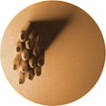 thumbnail image 1 of Ahgly Company Tapis Rond Lavable en Machine Intérieur Transitionnel Orange, 5 Pieds Rond, 1 of 7