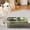 Green, variant on Automatic Pet Water and Food Dispenser, Large Capacity Dog Cat Feeder, Dry Wet Separation, Pet Water Dispenser, Automatic Pet Feeding Station, Indoor Outdoor Pet Feeder, Travel Pet Feeder