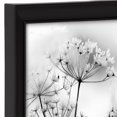 thumbnail image 5 of Nikolai Black Document Frame, 5 of 5