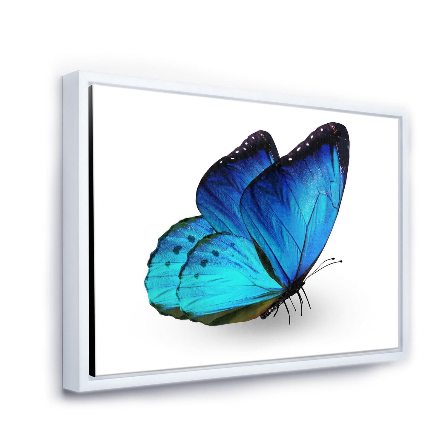 Designart Papillon bleu vibrant ART MURAL À CADRE FLOTTÉ