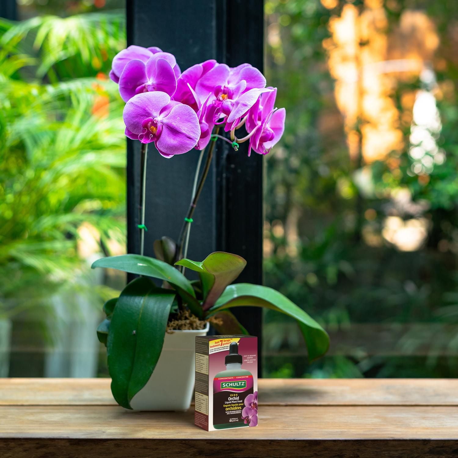 Engrais liquide pour orchidées 15-5-5 de Schultz® 150 g