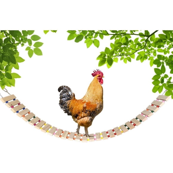 Chicken Coop Toy Chicken Toys for Hens Natural Wood Chicken Ladder Chicken Swing Chicken Perch for Birds Poultry Rooster Chicks