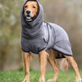 thumbnail image 2 of Kcodviy Pet Dog Clothes Velvet Small Dogs Clothes for Winter Thick Warm Clothing for Small Dog Winter Dogs Cute Pet Clothes Winter Dog Sweaters for Autumn and Winter Thick Warm Clothing for Dogs, 2 of 4