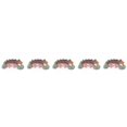 thumbnail image 1 of jesticaly Resin Castle Aquariums Decoration Simulation Turtle Climbing Three Eye Bridge 5Set, 1 of 6