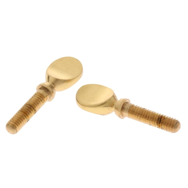 Milaget 2 Pcs Vis de Clarinette Pince Accessoire de Remplacement pour Instrument à Bois - Or