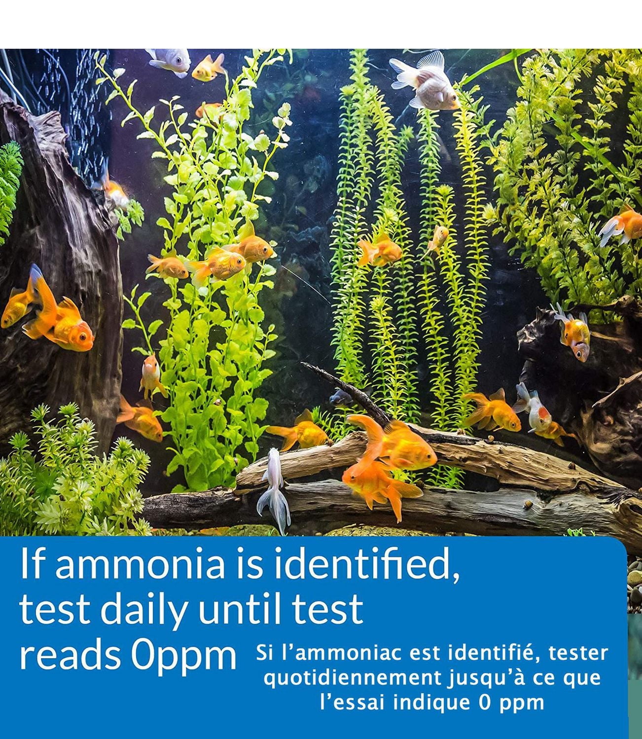 API Ammonia Test Strips, Freshwater and Saltwater Aquarium, 25-Count