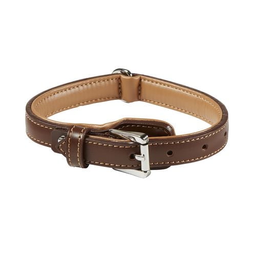 Aspen 18" (46cm) Brown Leather Collar