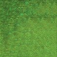 thumbnail image 1 of Ahgly Tapis d'Intérieur Lavable en Machine Carré Vert, 4 Pieds Carré, 1 of 7